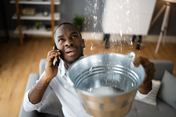 Best 24-hour water damage restoration  in Central City, IA