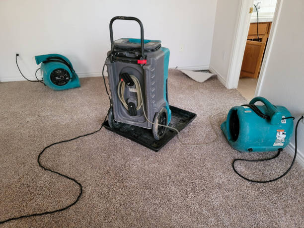 Best Local water damage restoration  in Central City, IA