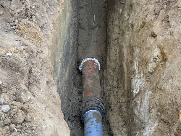 Best Professional water damage repair  in Central City, IA