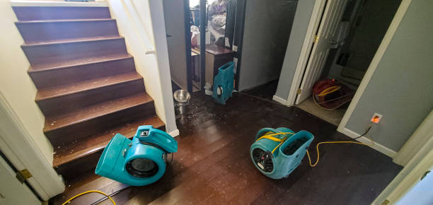 Best Sewage cleanup and water damage restoration  in Central City, IA