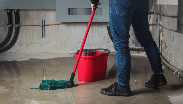 Best Water damage cleanup near me  in Central City, IA