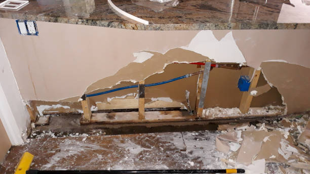 Best Residential water damage restoration  in Central City, IA