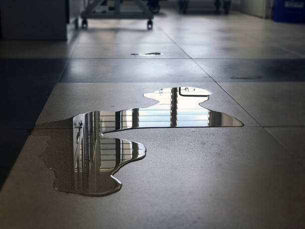 Best Water damage restoration experts  in Central City, IA