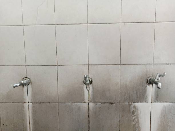 Best Professional water damage repair  in Central City, IA