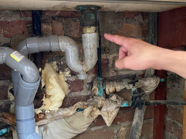 Best Flood restoration services  in Central City, IA