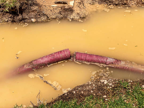  Central City, IA Water damage restoration Pros