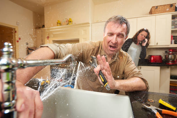 Best Flooded house restoration  in Central City, IA
